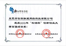 松湖杯創(chuàng)新創(chuàng)業(yè)大賽百強項目獎