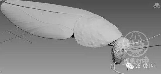 3D打印蟑螂小強(qiáng)誕生記(超精細(xì)) 妹紙膽小也可入
3D打印蟑螂,3D打印小強(qiáng),3D打印技術(shù),3D打印服務(wù),3D打印平臺(tái),e鍵打印