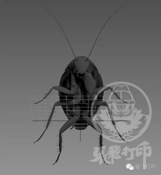 3D打印蟑螂小強(qiáng)誕生記(超精細(xì)) 妹紙膽小也可入
3D打印蟑螂,3D打印小強(qiáng),3D打印技術(shù),3D打印服務(wù),3D打印平臺(tái),e鍵打印