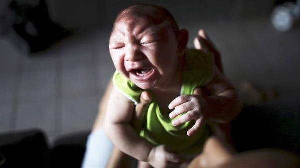 科學家攻克Zika病毒 高中生攜3D打印來幫忙

Zika病毒,3D打印醫(yī)療行業(yè),3D打印材料價格,3D打印技術(shù),3D打印材料,3D打印成本,3D打印價格