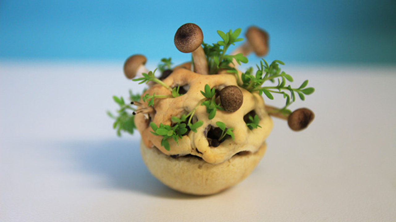 3D打印食品 e鍵打印,3D打印服務(wù)