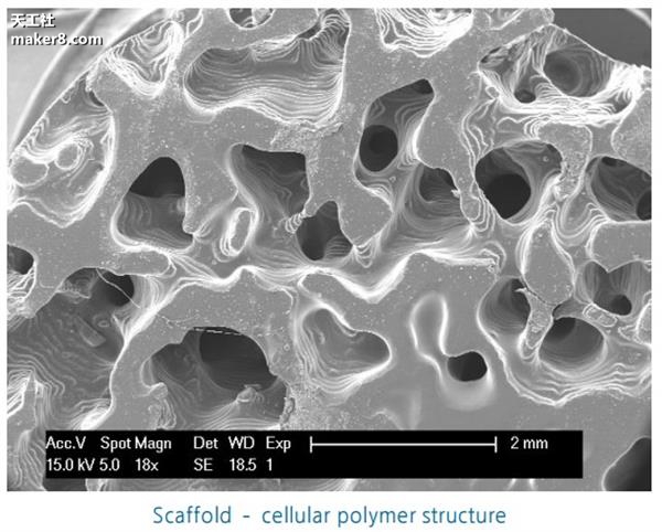 光固化3D打印機又上新臺階 打印質(zhì)量媲美注塑成型

光固化3d打印機原理,光固化3d打印機,光固化3d打印機教程,光固化3d打印機多少錢,光固化3d打印機技術(shù)領(lǐng)域,光固化3d打印機價格區(qū)間