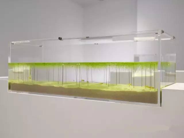 精美3d打印創(chuàng)意作品圖片欣賞 你見過3D打印的魚缸么?