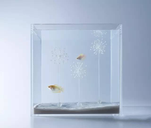 精美3d打印創(chuàng)意作品圖片欣賞 你見過3D打印的魚缸么?