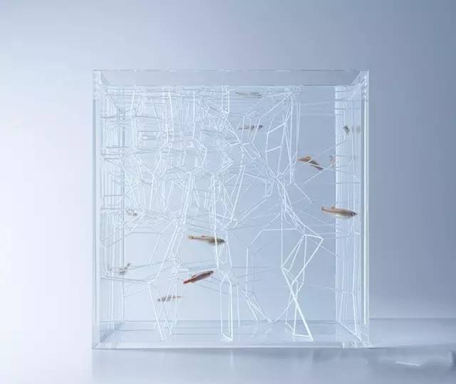 精美3d打印創(chuàng)意作品圖片欣賞 你見過3D打印的魚缸么?