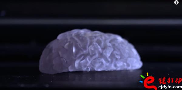 生物3d打印,生物3d打印技術(shù),生物3d打印技術(shù),生物3d打印材料,生物3d打印發(fā)展,3D打印心臟,3D打印服務(wù)